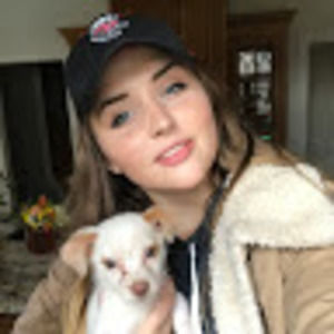 Meet your Posher, Katarina